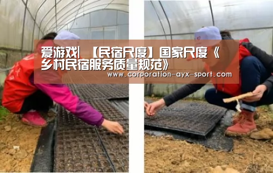 爱游戏|
【民宿尺度】国家尺度《乡村民宿服务质量规范》(图3) 爱游戏首页