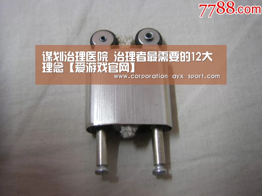 谋划治理医院 治理者最需要的12大理念【爱游戏官网】(图2) 爱游戏首页