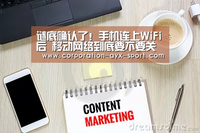 谜底确认了!手机连上WiFi后 移动网络到底要不要关掉?【爱游戏】(图1) 爱游戏体育