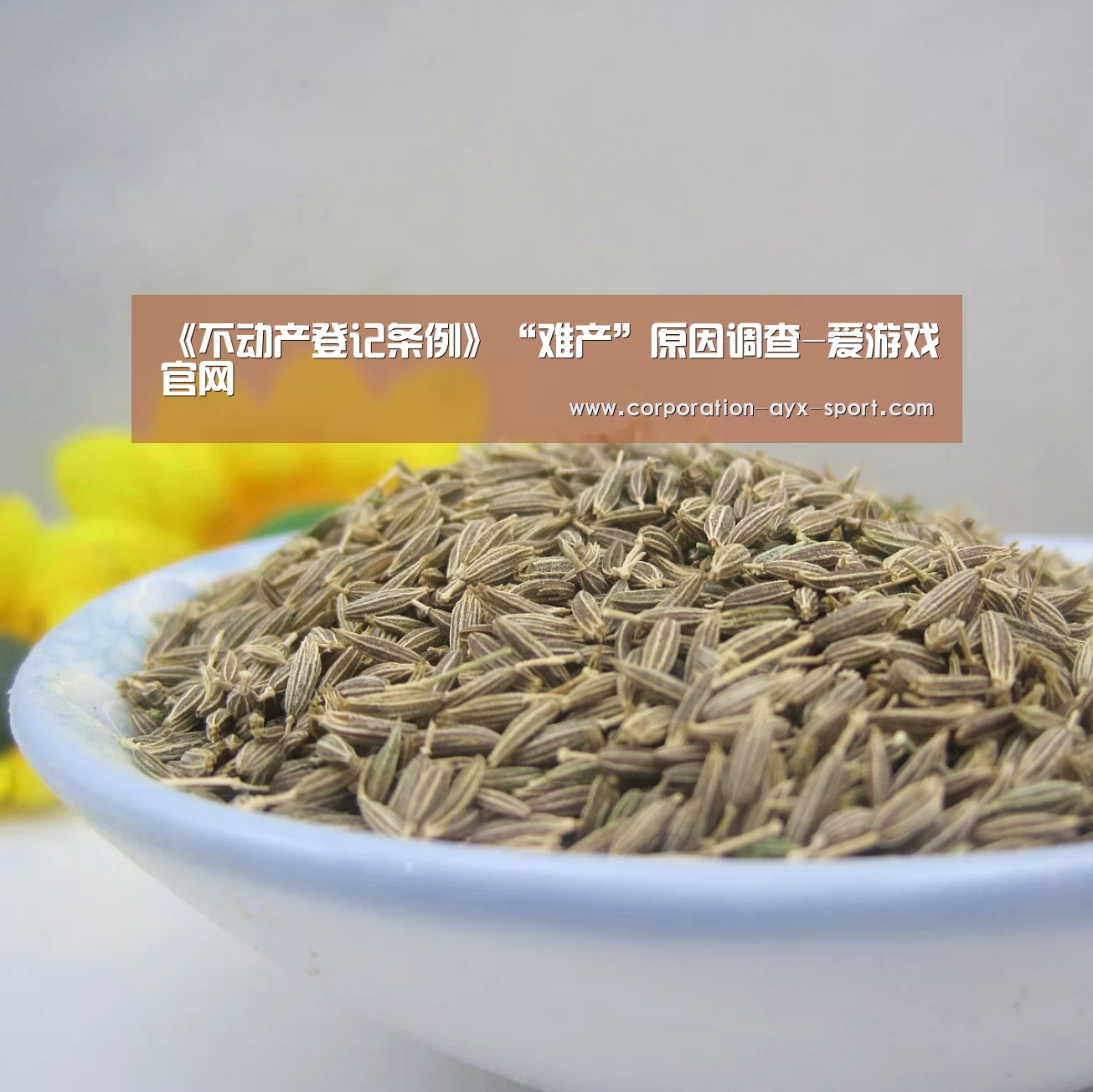爱游戏官网