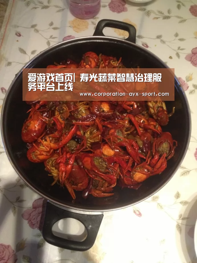 爱游戏首页|
寿光蔬菜智慧治理服务平台上线(图3) 爱游戏官网