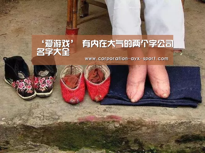 ‘爱游戏’
有内在大气的两个字公司名字大全(图2) 爱游戏官网