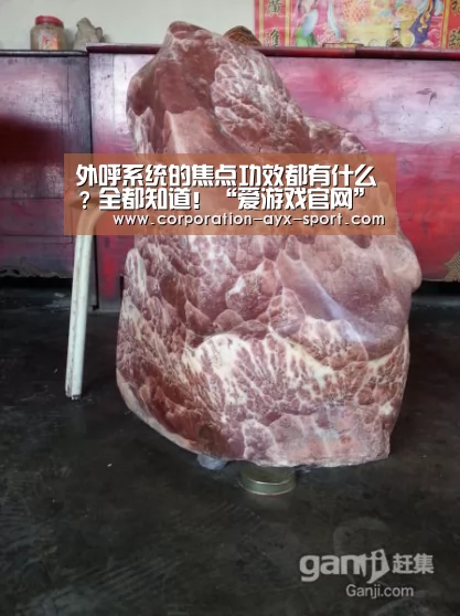外呼系统的焦点功效都有什么?全都知道!“爱游戏官网”(图2) 爱游戏官网